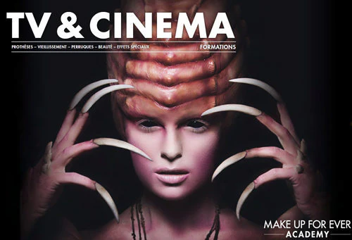 maquilleuse professionnelle / technicienne intermittente du spectacle