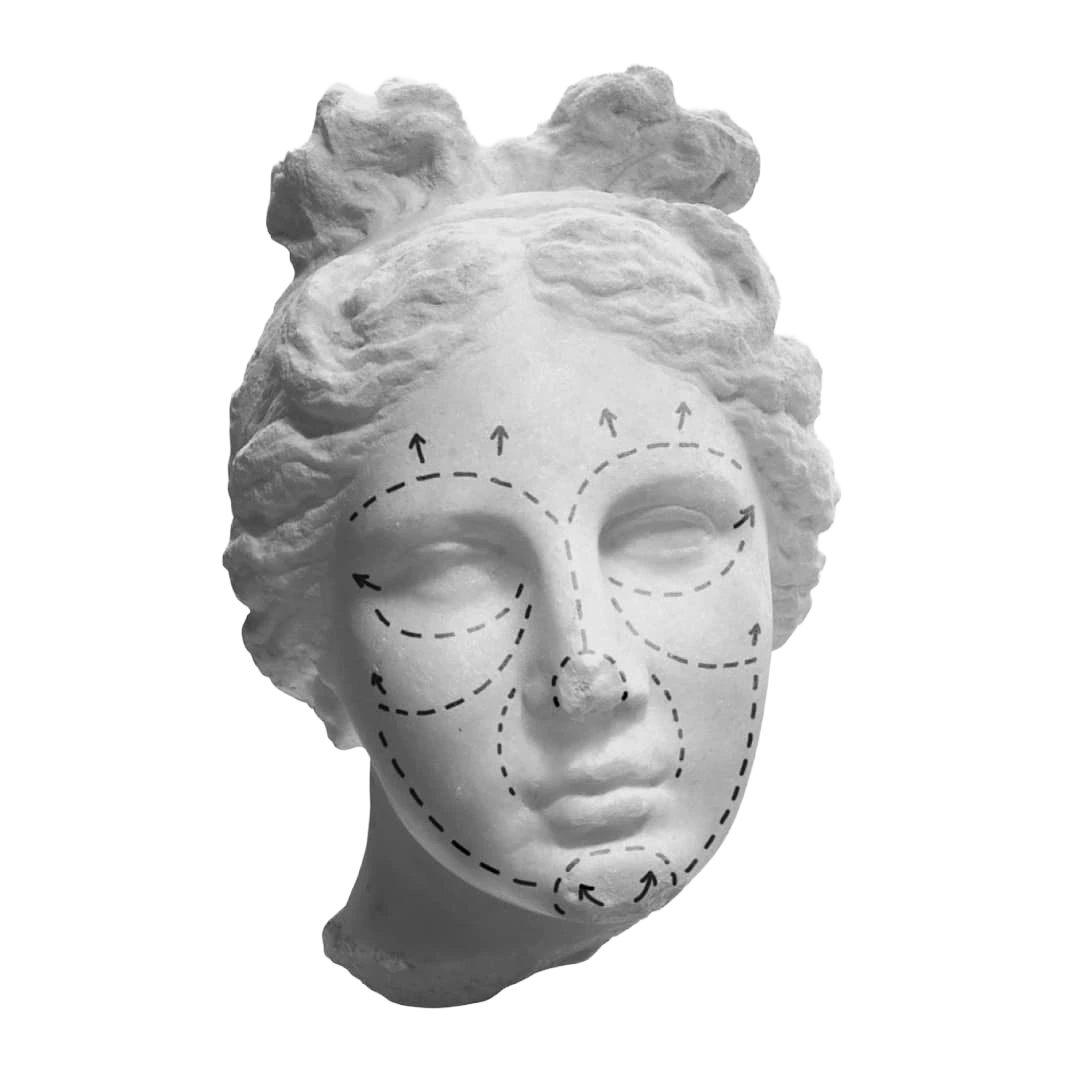 Sculpture d'étude du visage utilisée pour analyser les zones de maquillage professionnel.